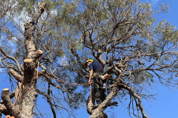 496920993_122093496800884702_1469702294101933118_n