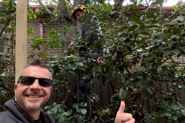 500039406_122103811466884702_2892114106560854875_n