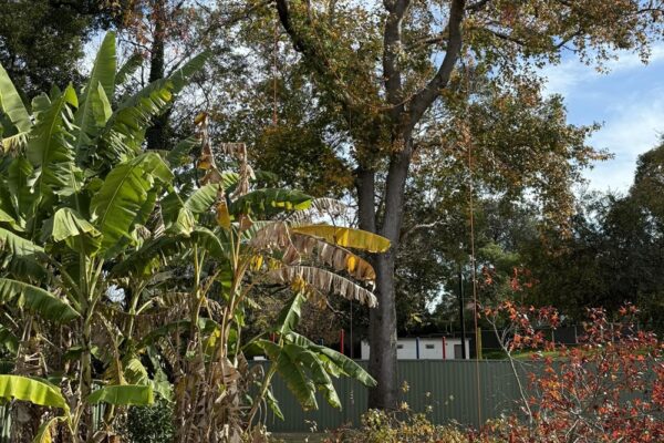 515436052_122118585494884702_7527899336151148209_n