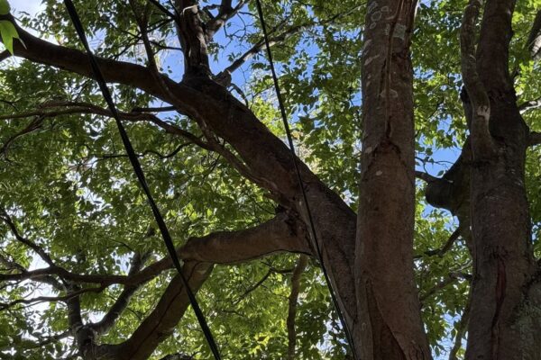 516518544_122119314122884702_6444838830948141944_n