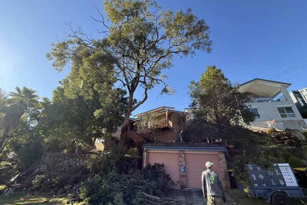 516612706_122119314062884702_6032033407657343619_n