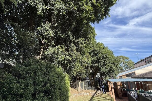 518378586_122120630888884702_5310051793306442710_n