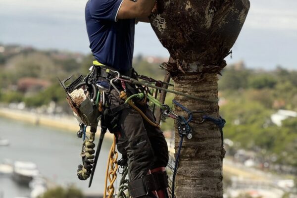 539151332_122129733764884702_4725500760366455160_n